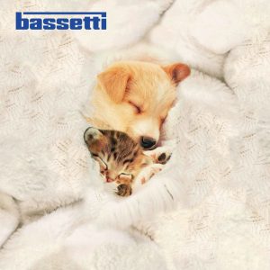 Copripiumino matrimoniale bassetti sweetdream particolare