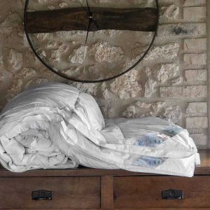 Piumino Letto Singolo Invernale Caldo-Invernale Piumone-Piumino In  Microfibra 135 X 200 Cm-L'Oca Del Piumino Di Lusso Giù La Coperta Del  Piumone Di Inverno Che Riempie La Copertura Del Cotone Giù Il 