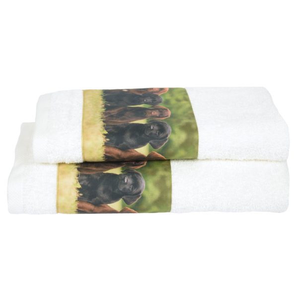 Coppia asciugamani terrier