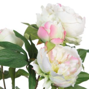 Pianta finta peonia crema fiore