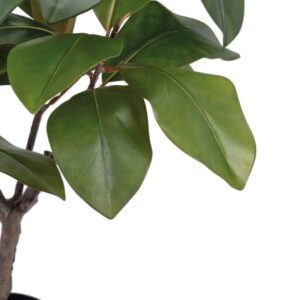Pianta finta verde caucciù foglia