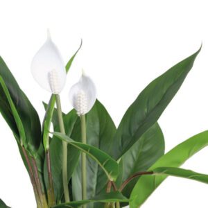 Pianta finta artificiale calla bianca fiore