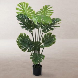 Pianta finta monstera