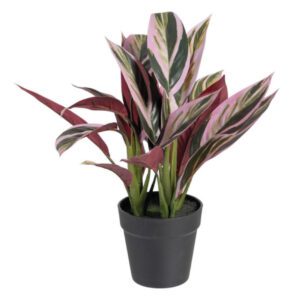 Pianta finta con foglie rosa verde