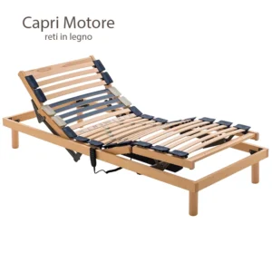 Rete in doghe capri motorizzata home