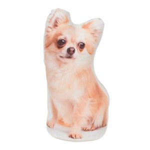 fermaporta Chihuahua